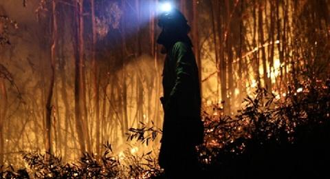 Over 2,500 issued evacuation orders in northeastern Japan due to wildfires