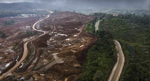 Landslide in Indonesia's Morowali nickel hub kills one, halts operations