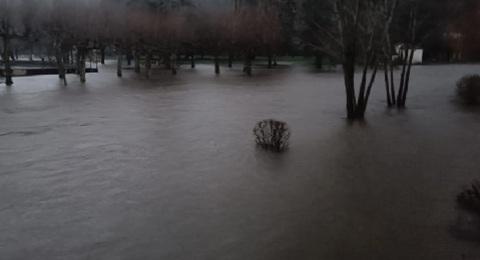 Storm Nils leaves 1 dead, 850,000 homes without power in France