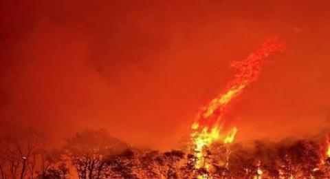 Intense heatwave grips Australia's southern states, fans bushfires