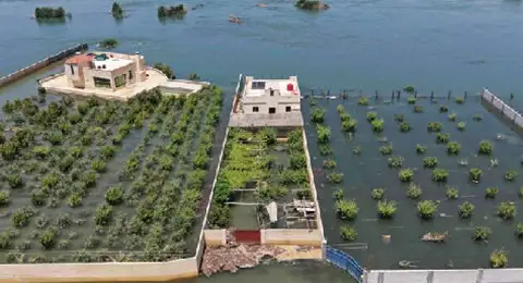 Euphrates flood deprives east Syria farmers of crops