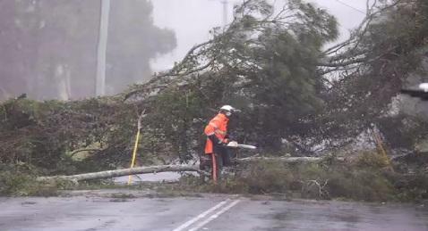 Cyclone Alfred stalls off Australia's east as millions brace for impact