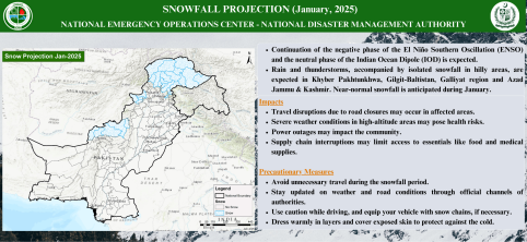 Snow Projections January, 2025