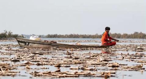 Pakistan demands ‘urgent action’ to protect world wetlands to mitigate climate crisis