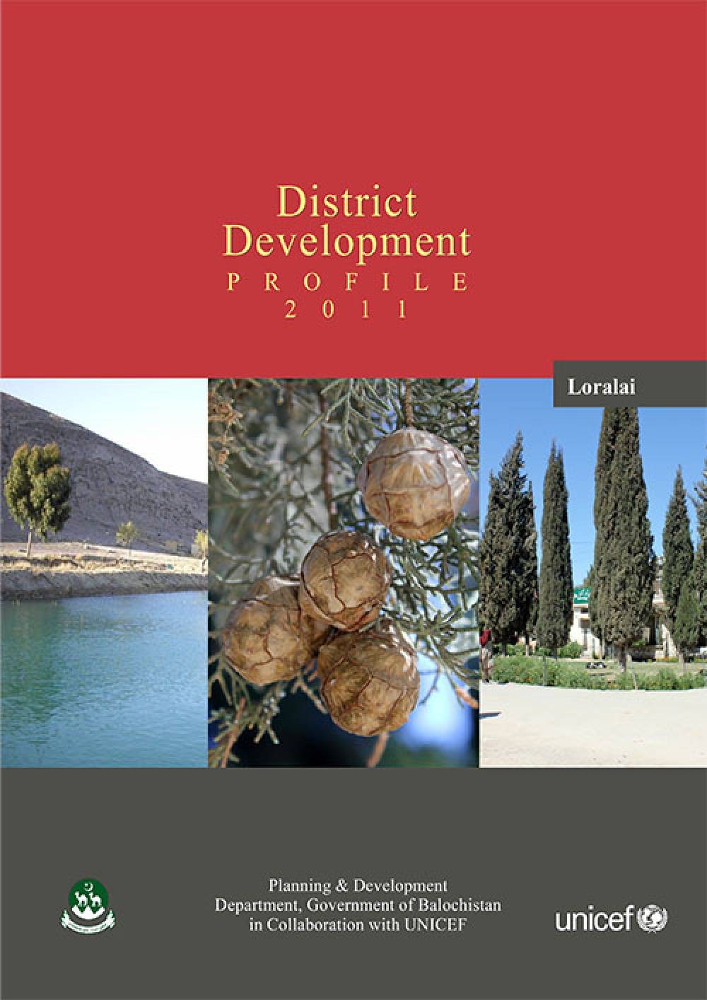 Development Profile District Loralai