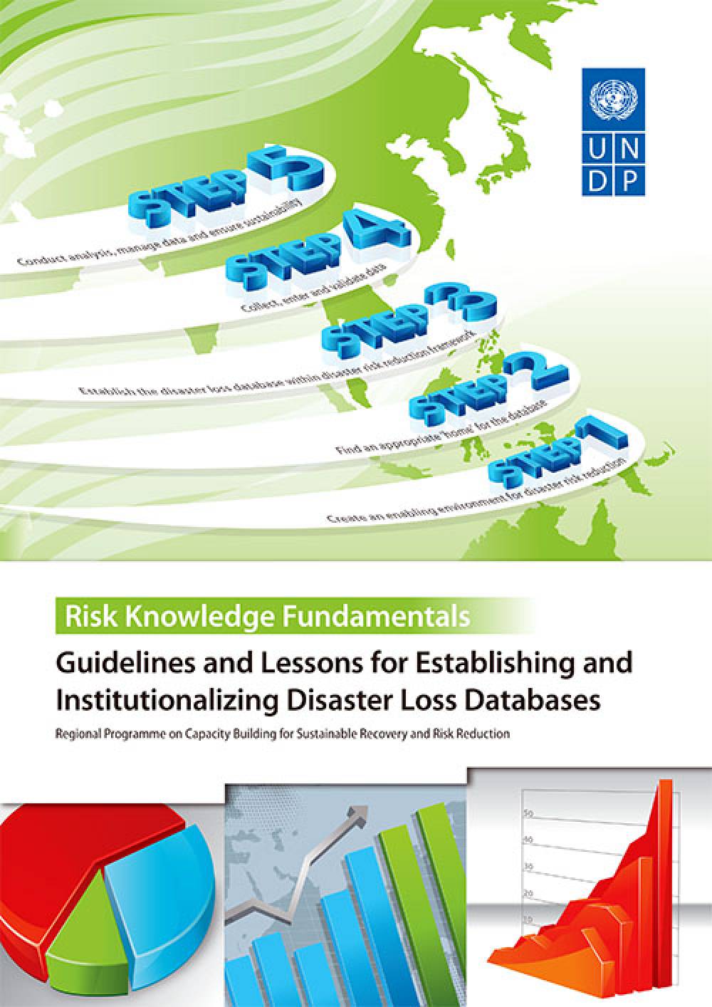 Guidelines and Lessons for Establishing and Institutionalizing Disaster Loss Databases