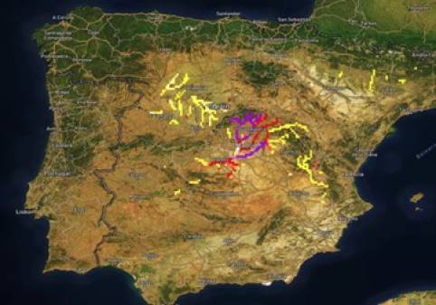 Flash Flood Spain