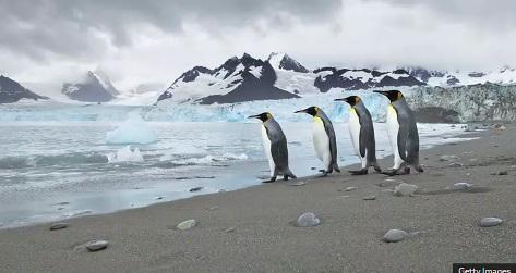 Mushy ice and lost kit: The scientists studying Antarctica as it melts