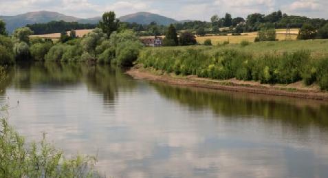 Poultry megafarm plan in Shropshire overturned by High Court Dr. Alison Caffyn led judicial review, citing environmental concerns
