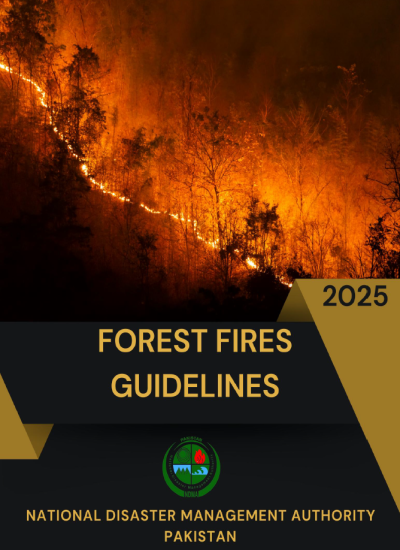 FORES FIRES GUIDELINES 2025