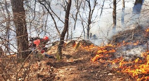 Wildfires erupt in South Korea and Cambodia amid dry strong winds